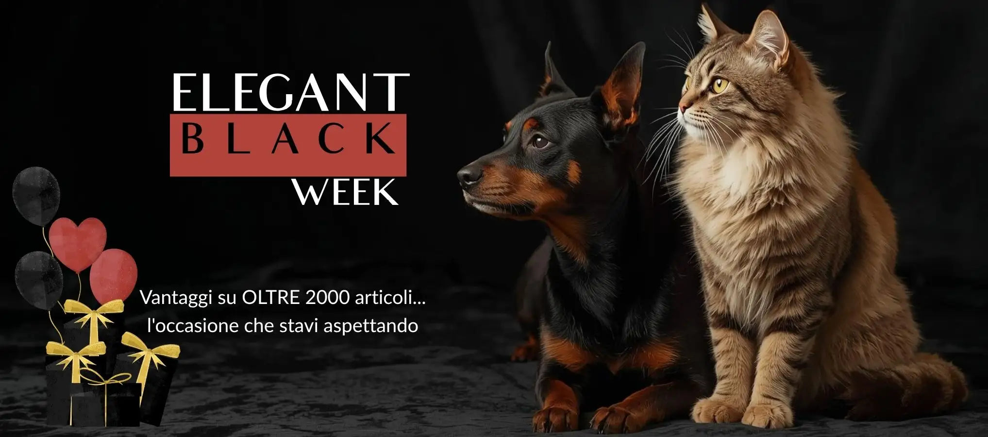 Black Friday 60%