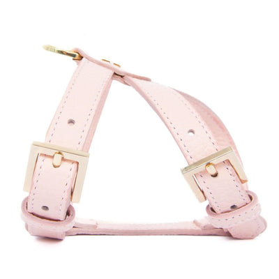 Pupet Couture - pettorina aurora - 0