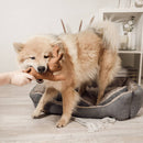 Ne&no® Gioco per cane resistente con stridio - Coniglio Haru-9
