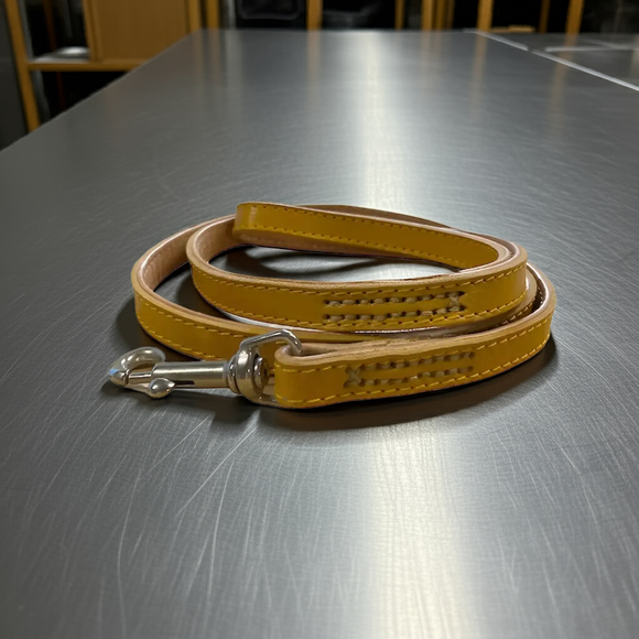 Pet Boutique - Elegant Laisse en cuir
