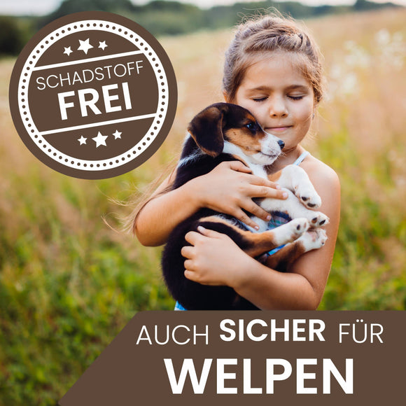 Ne&no® Jouet résistant pour chiens avec sifflet - Buffle Billie