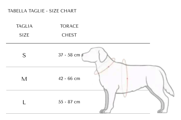 Guide des tailles