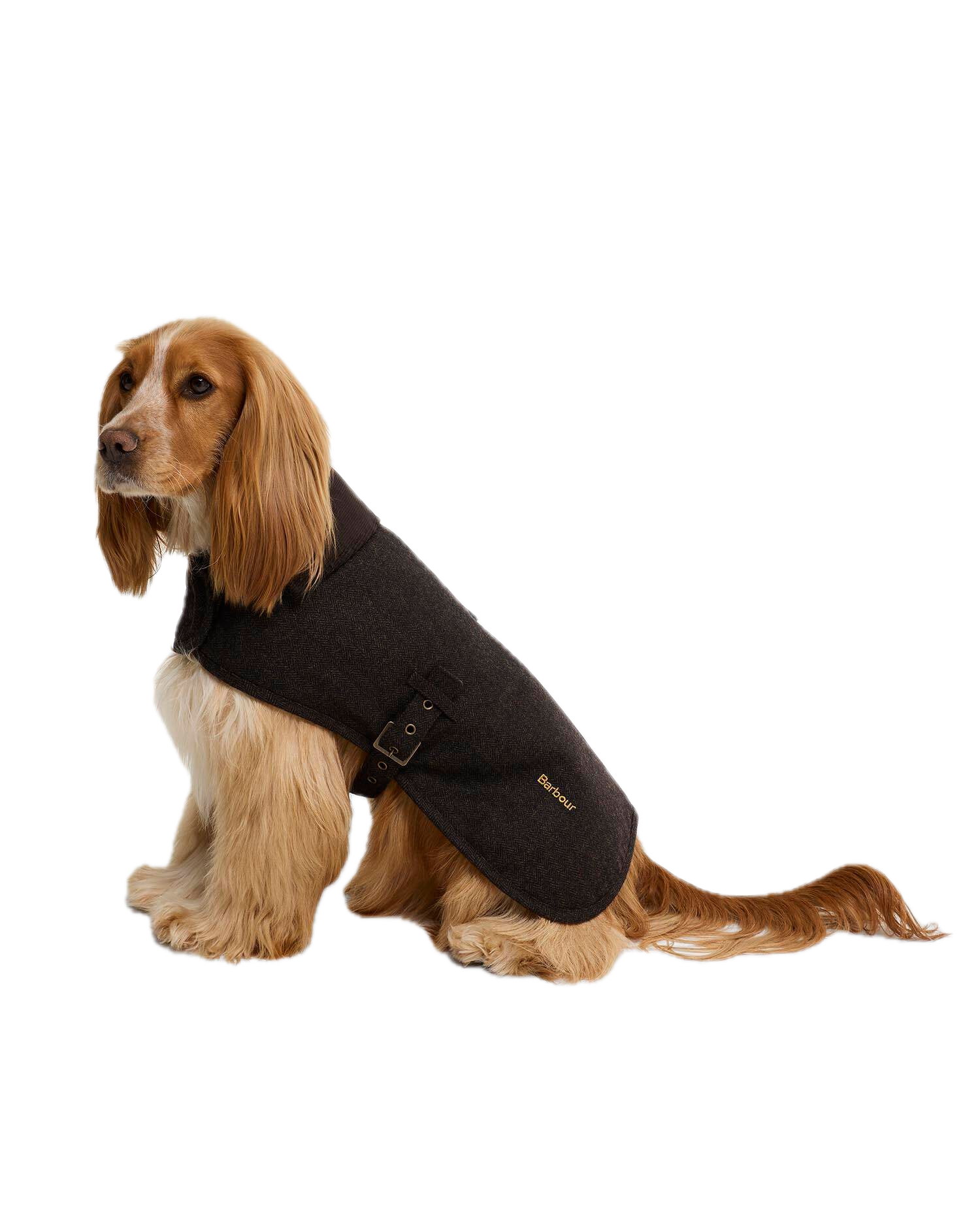 Barbour Manteau pour chien Barlow en tweed