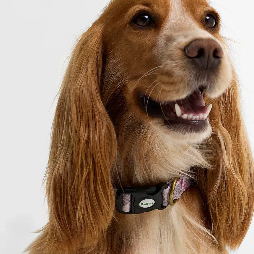 Barbour Collier pour chien imprimé tartan