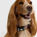 Barbour Collier pour chien imprimé tartan-9