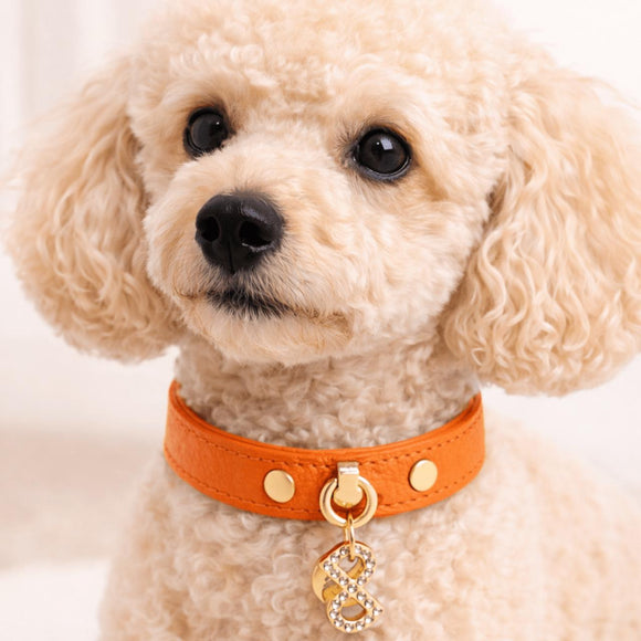 Pupet Couture - collar de piel aurora
