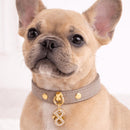 Pupet Couture - collar de piel aurora-9