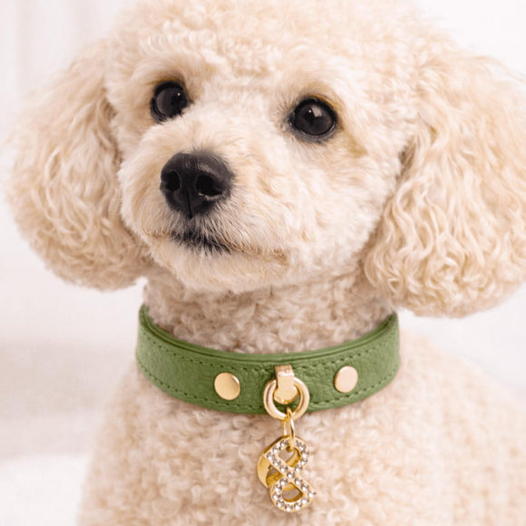 Pupet Couture - collar de piel aurora