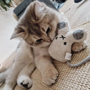 Ne&No - Katzenspielzeug 3er-Set Plüschtiere mit Katzenminze-9