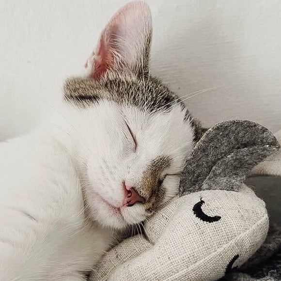 Ne&No - Katzenspielzeug 3er-Set Plüschtiere mit Katzenminze