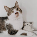 Ne&No - Katzenspielzeug 3er-Set Plüschtiere mit Katzenminze-12