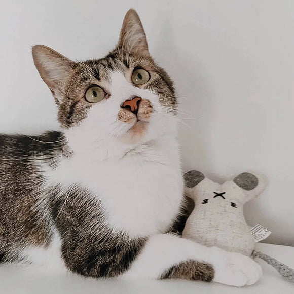 Ne&No - Katzenspielzeug 3er-Set Plüschtiere mit Katzenminze