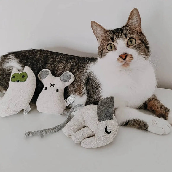 Ne&No - Katzenspielzeug 3er-Set Plüschtiere mit Katzenminze