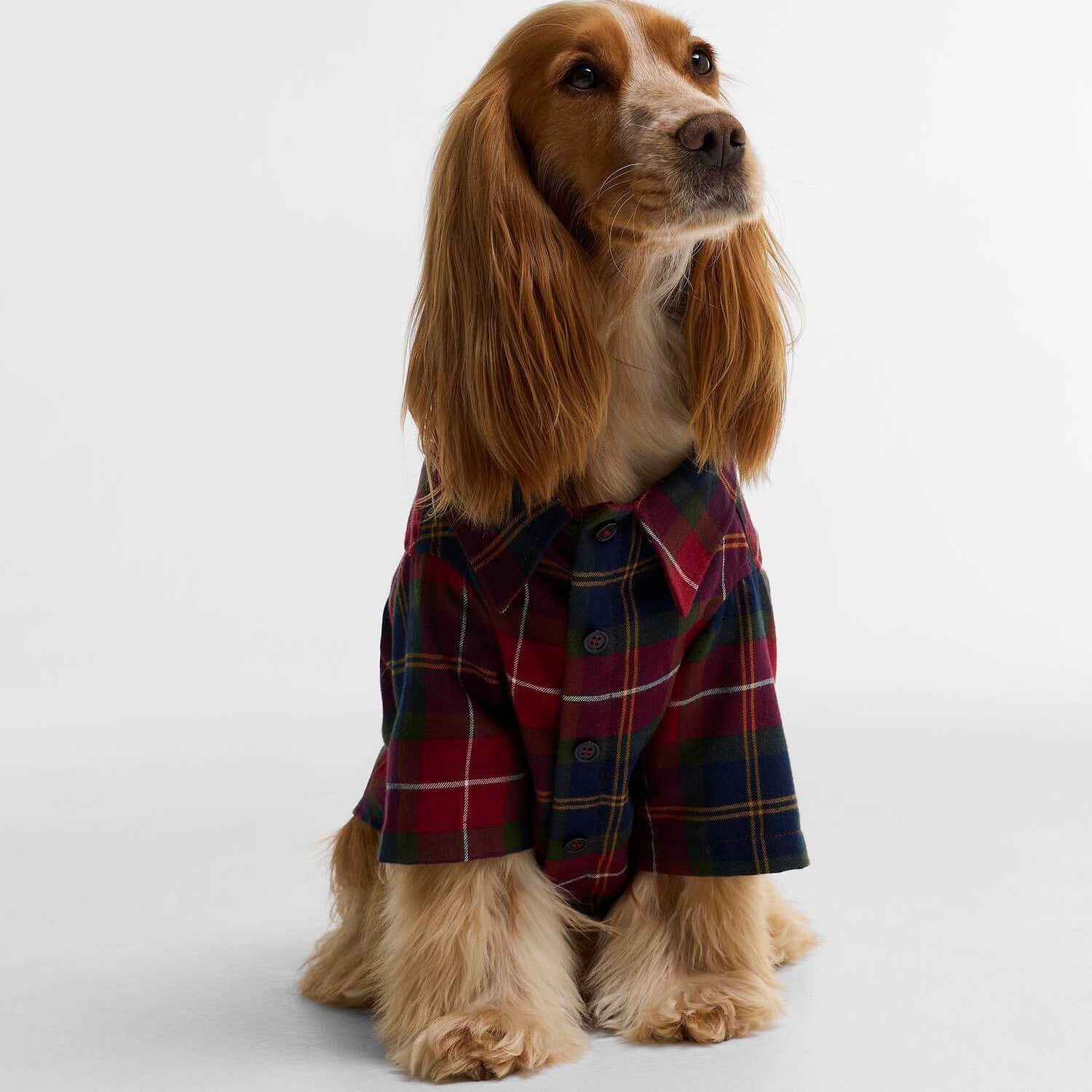 Barbour T-shirt pour chien Tartan Fortrose