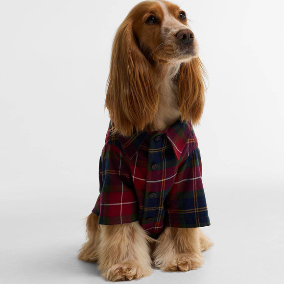 Barbour T-shirt pour chien Tartan Fortrose
