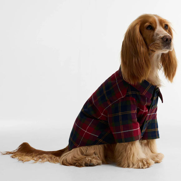 Barbour T-shirt pour chien Tartan Fortrose