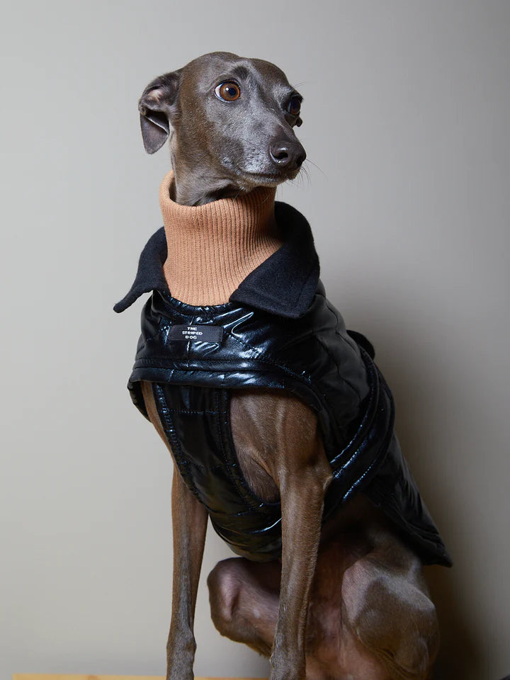 Veste à col roulé