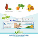 Aloeplus Pasta oral para gatos-2
