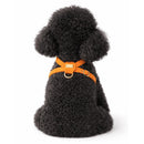 Pupet Couture - harnais aurora-8
