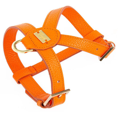 Compra arancione Pupet Couture - pettorina aurora