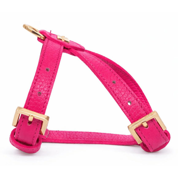Pupet Couture - harnais aurora