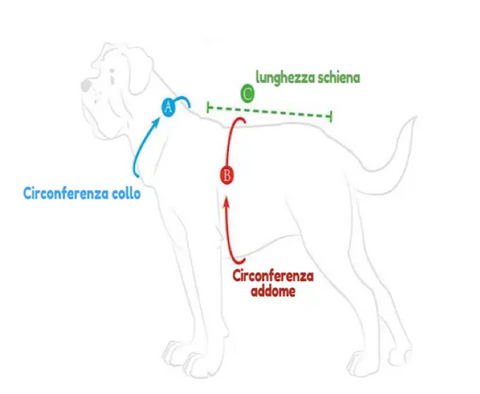 Pettorine Hilo Turchese con bordi riflettenti