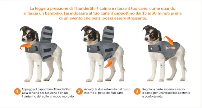 Chien avec Adaptil Thunder Shirt en tissu respirant pour calmer l’anxiété.