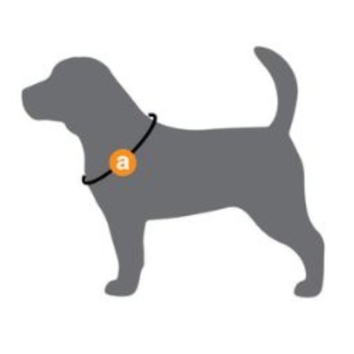 Silhouette d'un chien gris avec un collier Rogz Collier Urban Rose, design innovant constitué.