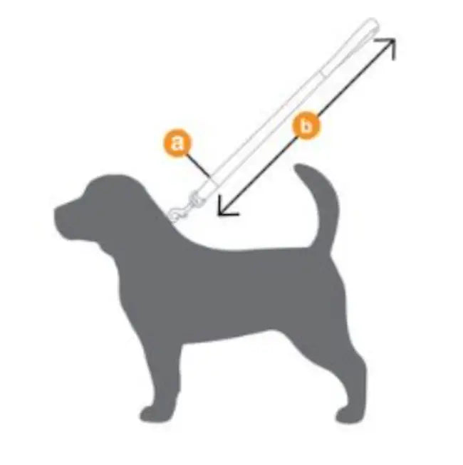 Size guide for the Rogz Urban Pink Leash.