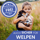 Ne&no® Gioco robusto per cani con squeaker - Procione Wally-10