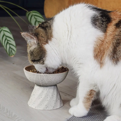 Ne&No - Raised Ceramic Cat Bowl Stone Effect - 0