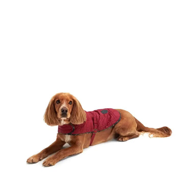 Barbour - Cappotto per cani Dog Bone - Cappottini
