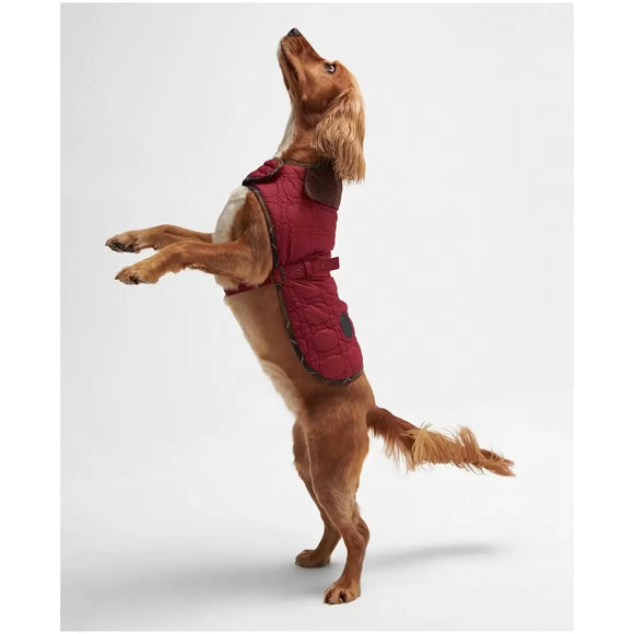 Barbour - Cappotto per cani Dog Bone - Cappottini
