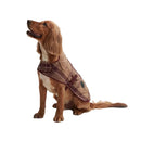 Barbour - Cappotto per cani Trapuntato - Cappottini