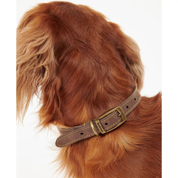 Barbour - Collare per cani in pelle - Collari
