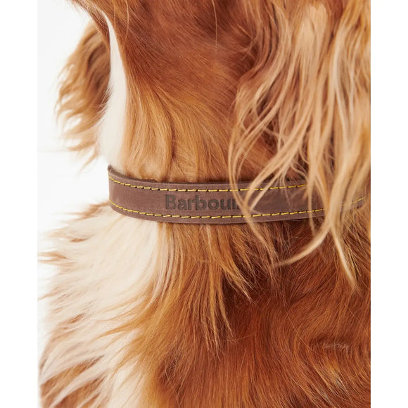 Barbour - Collare per cani in pelle - Collari