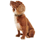 Barbour - Collare per cani in pelle - Collari