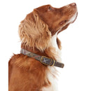 Barbour - Collare per cani Tartan Cotone - Collari