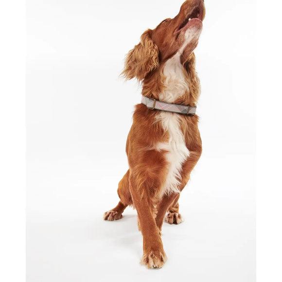 Barbour - Collare per cani Tartan Pink riflettente - Collari