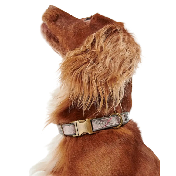 Barbour - Collare per cani Tartan Pink riflettente - Collari