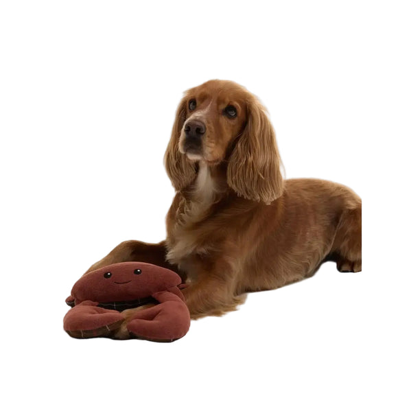 Barbour - Giocattolo per cani a forma di granchio - Giochi