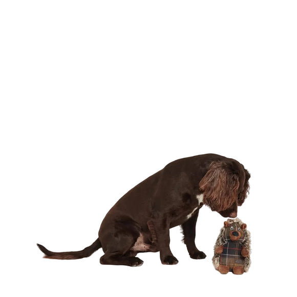 Barbour - Giocattolo per cani a forma di riccio - Giochi
