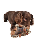 Barbour - Giocattolo per cani a forma di riccio - Giochi