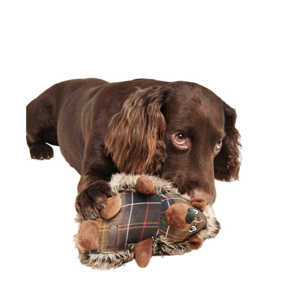 Barbour - Giocattolo per cani a forma di riccio - Giochi
