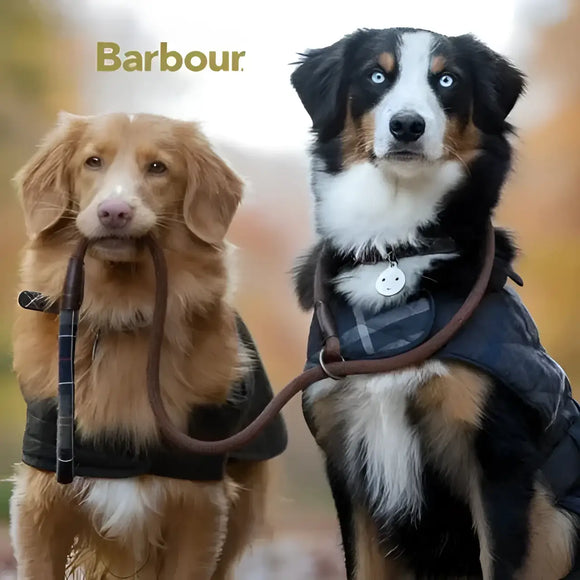Barbour - Guinzaglio con bordo Tartan - Guinzagli