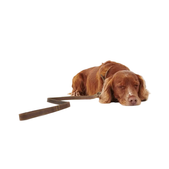 Barbour - Guinzaglio per cani in pelle - Guinzagli