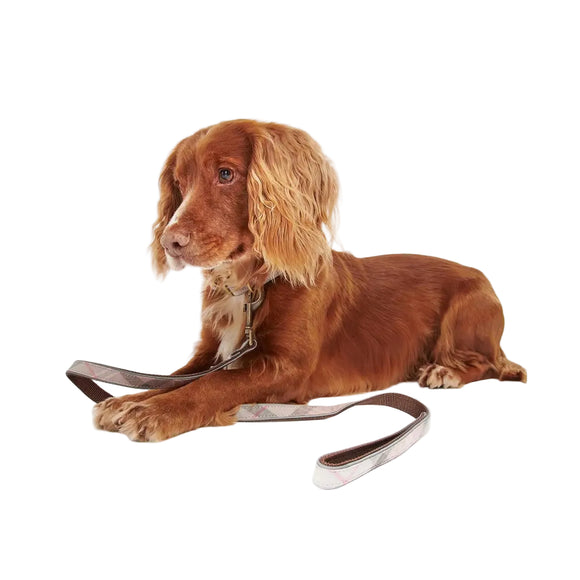 Barbour - Guinzaglio Per Cani Taupe Pink Tartan Riflettente - Guinzagli