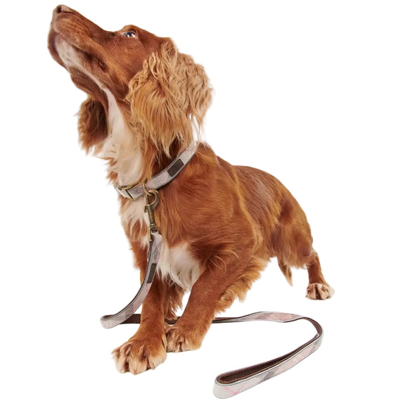 Barbour - Guinzaglio Per Cani Taupe Pink Tartan Riflettente - Guinzagli