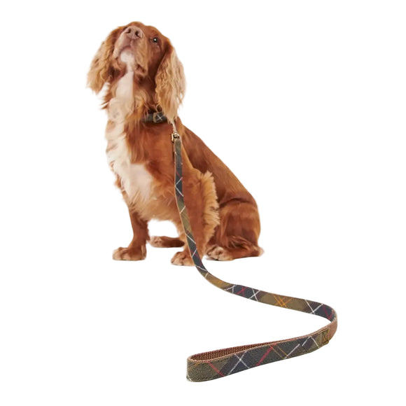 Barbour - Guinzaglio per cani Webbing Tartan - Guinzagli