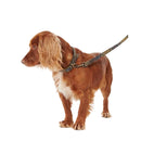 Barbour - Guinzaglio per cani Webbing Tartan - Guinzagli